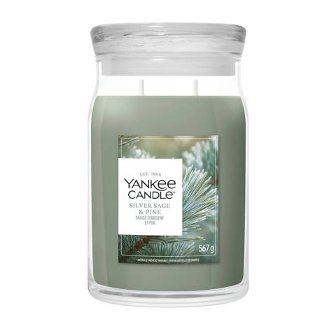 Yankee Candle — Bougie Sauge argentée & pin