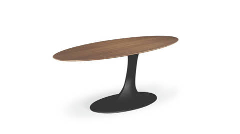 Roche Bobois — Speed up – Table de repas ovale