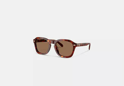 Coach — Coach Lunettes de soleil rondes avec monture en C en métal