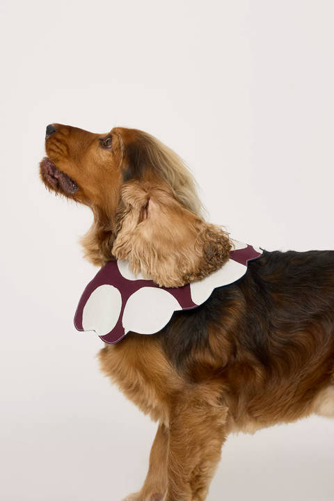 Anthropologie — Collier pour chien fantaisie Damson Madder